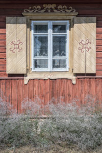 Geography, Lithuania, Gypsophila flowers near wall of the wooden house Geography, Lithuania, Gypsophila flowers near wall of the wooden house
